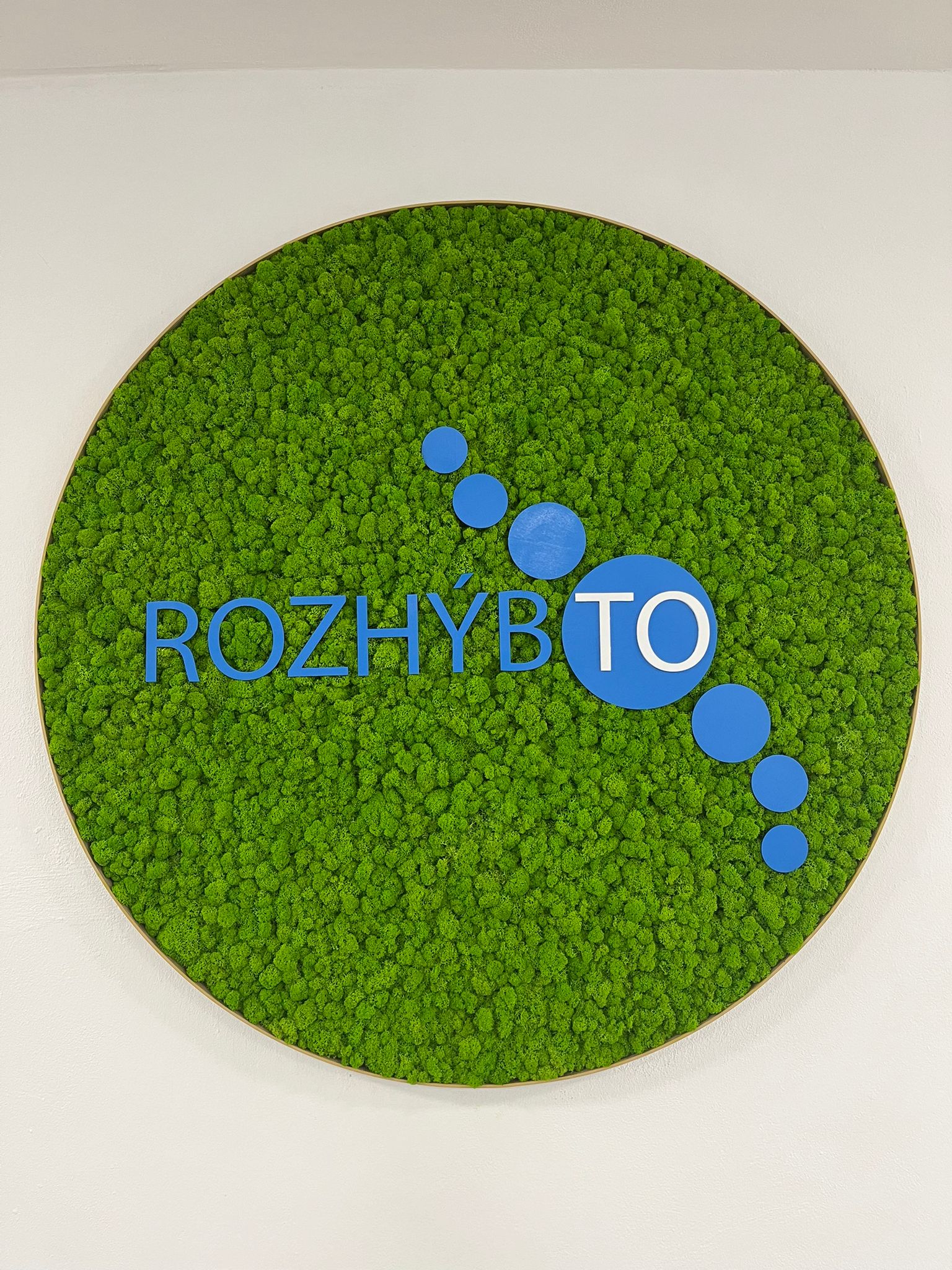 WhatsApp Image 2026-02-20 at 08.14.08 (1)